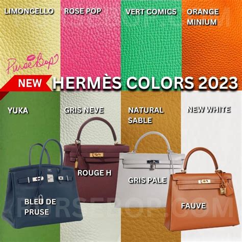 hermes birkin colors 2023|new Hermes colors 2022.